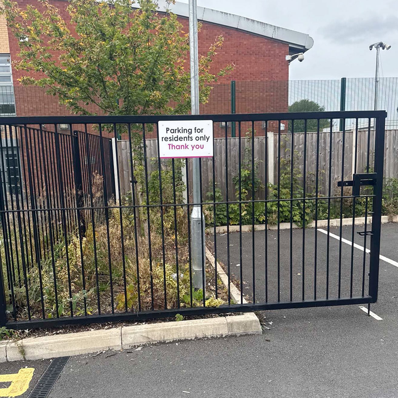 Oral Health Social Ads