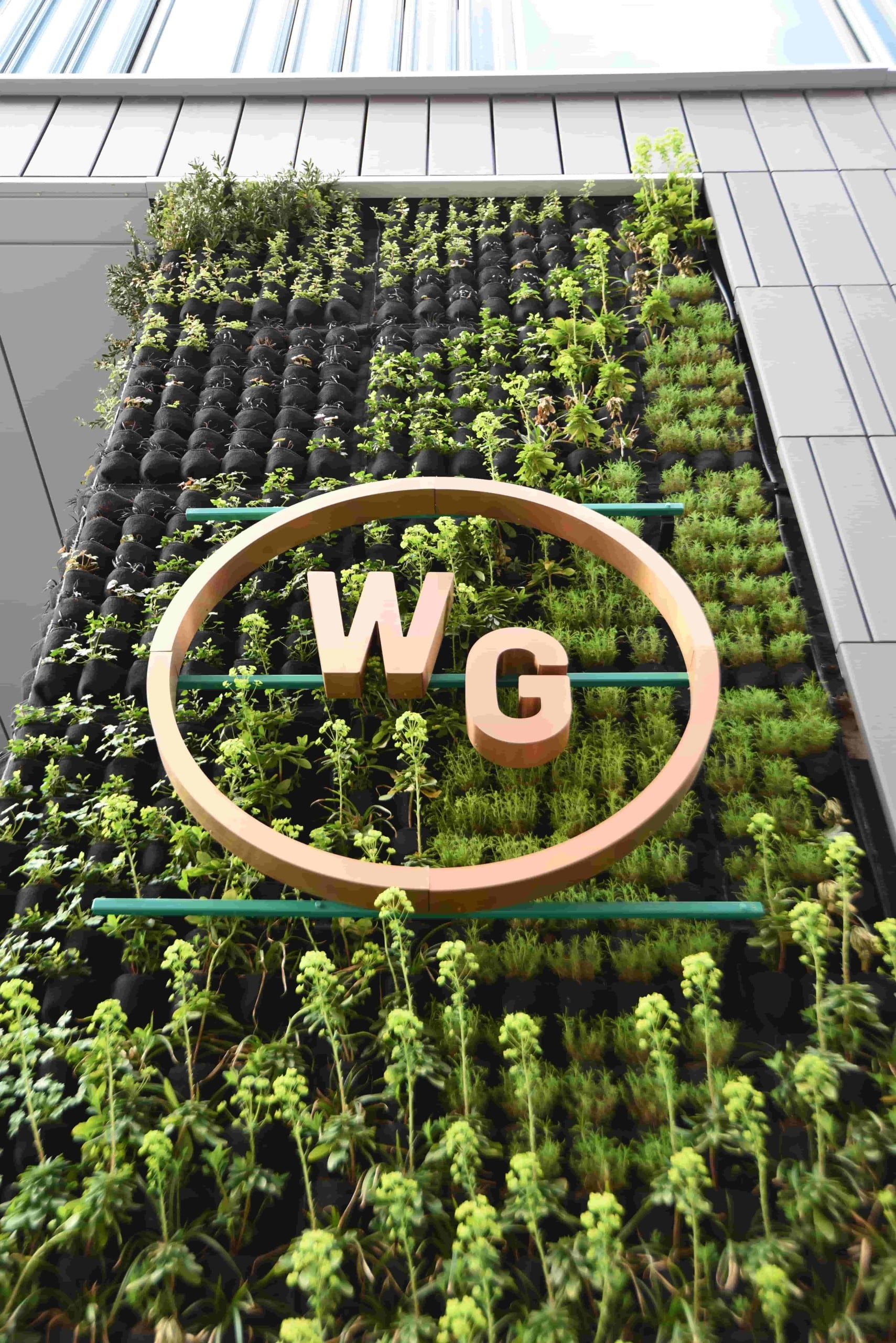 Oral Health Info Card